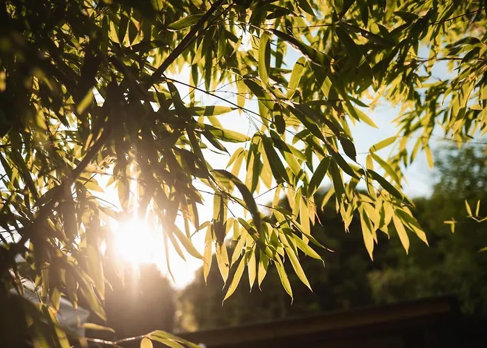 波林杰酒店 4* 梅拉诺