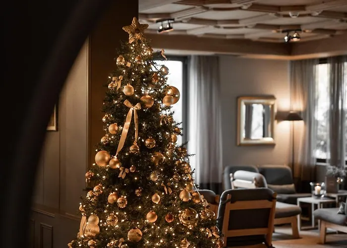 酒店 波林杰酒店