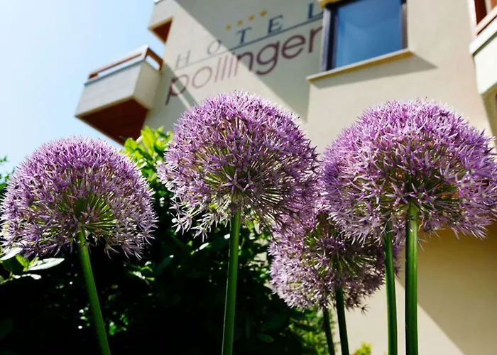 Otel Pollinger 4*